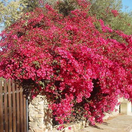 Casa A 300Mt.Dal Mare Calasinzias, 6 Letti, Ac, Pets Welcome, Wi-Fi Free Cala Sinzias Εξωτερικό φωτογραφία