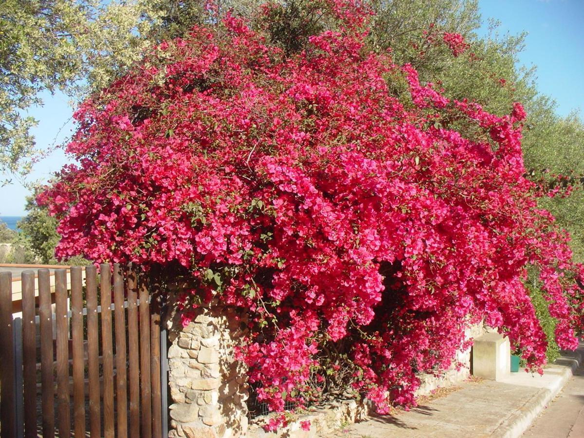 Casa A 300Mt.Dal Mare Calasinzias, 6 Letti, Ac, Pets Welcome, Wi-Fi Free Cala Sinzias Εξωτερικό φωτογραφία